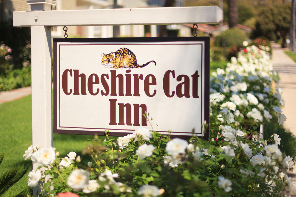 Cheshire Cat Inn & Cottages Σάντα Μπάρμπαρα Εξωτερικό φωτογραφία